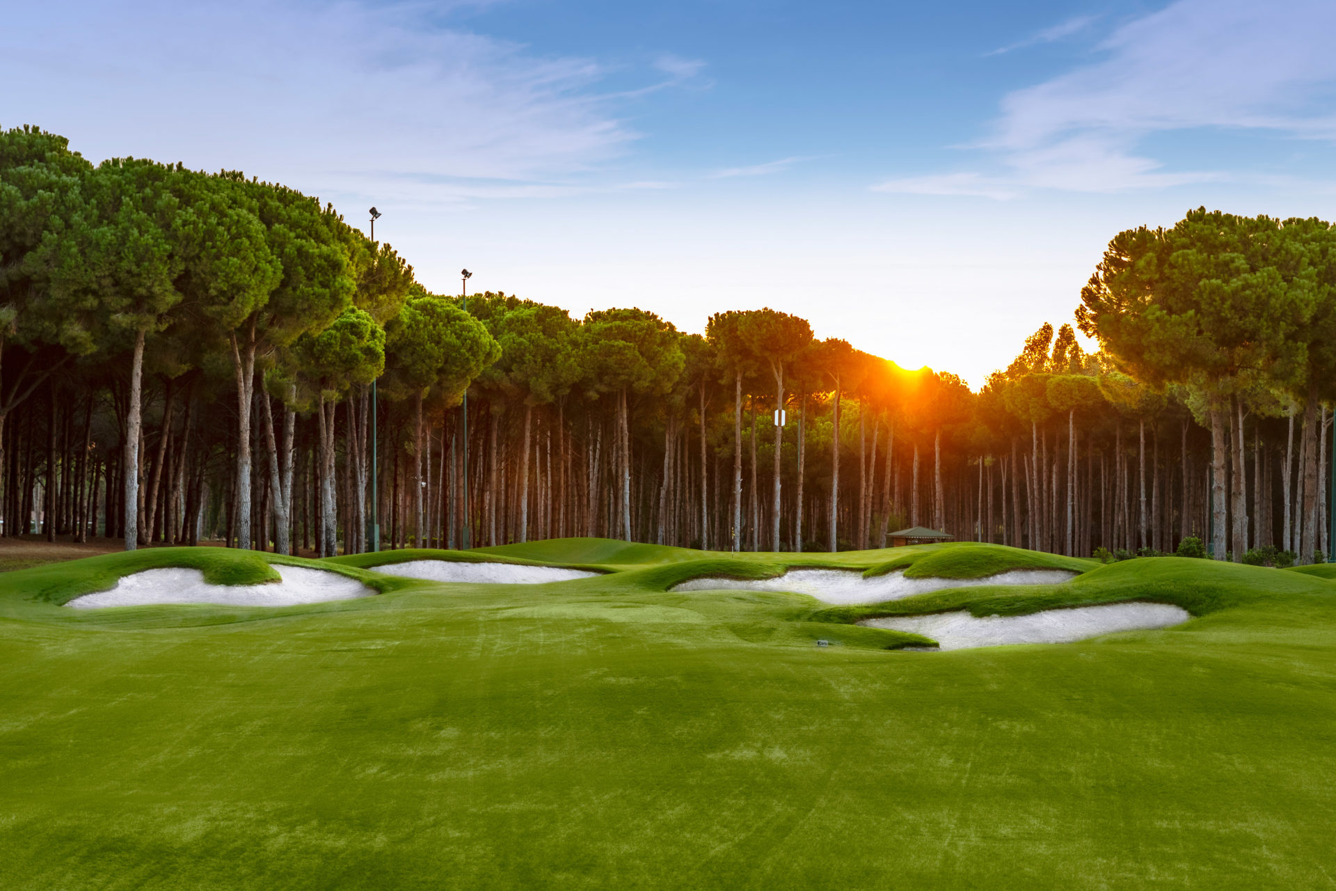 Carya Golf Course Golfplatz Green