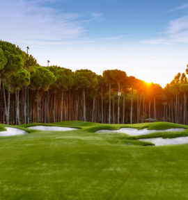 Carya Golf Course Golfplatz Green